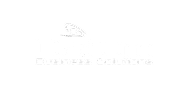 DATUM Business Solutions white logo